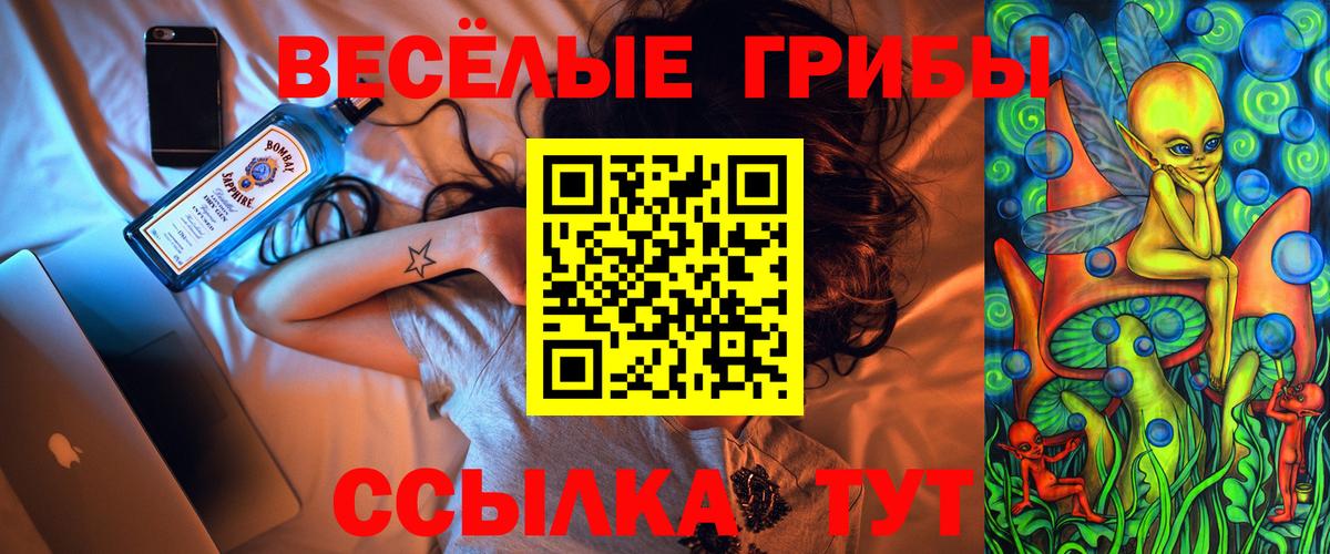 Коряжма  Псилоцибиновые грибы Cubensis  Вход с VPN 